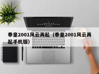 拳皇2001风云再起（拳皇2001风云再起手机版）