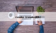 rsnake（rsnake战队）