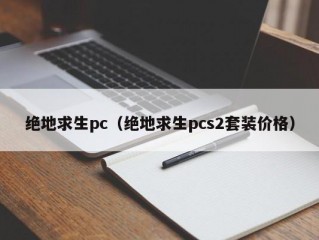 绝地求生pc（绝地求生pcs2套装价格）