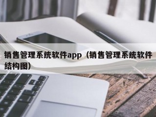 销售管理系统软件app（销售管理系统软件结构图）