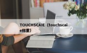 TOUCHSCAIE（touchscaie称重）