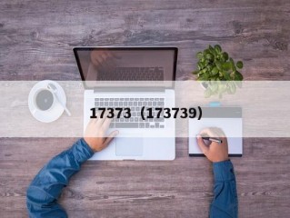 17373（173739）