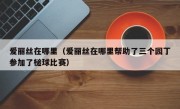 爱丽丝在哪里（爱丽丝在哪里帮助了三个园丁参加了槌球比赛）