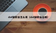 dnf副职业怎么用（dnf副职业在哪）