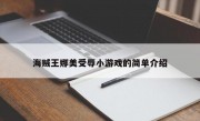 海贼王娜美受辱小游戏的简单介绍