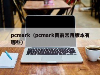 pcmark（pcmark目前常用版本有哪些）