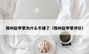 我叫赵甲第为什么不播了（我叫赵甲第评价）