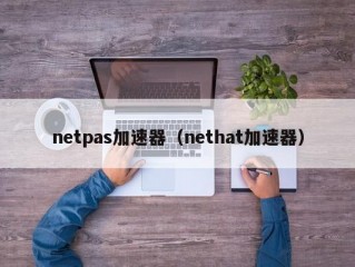 netpas加速器（nethat加速器）