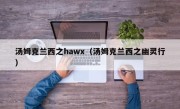 汤姆克兰西之hawx（汤姆克兰西之幽灵行）