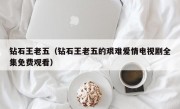 钻石王老五（钻石王老五的艰难爱情电视剧全集免费观看）