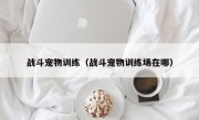 战斗宠物训练（战斗宠物训练场在哪）