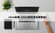 stsm在哪（stsm的任务在哪里接）