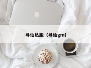 寻仙私服（寻仙gm）