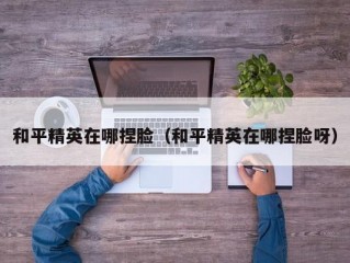 和平精英在哪捏脸（和平精英在哪捏脸呀）