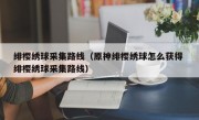 绯樱绣球采集路线（原神绯樱绣球怎么获得 绯樱绣球采集路线）