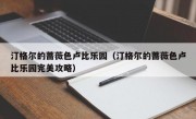 汀格尔的蔷薇色卢比乐园（汀格尔的蔷薇色卢比乐园完美攻略）