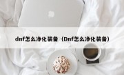 dnf怎么净化装备（Dnf怎么净化装备）