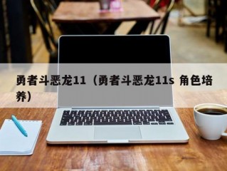 勇者斗恶龙11（勇者斗恶龙11s 角色培养）