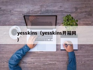 yesskins（yesskins开箱网）