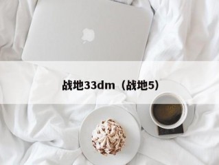 战地33dm（战地5）