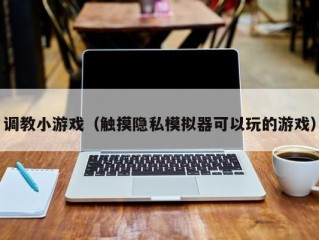 调教小游戏（触摸隐私模拟器可以玩的游戏）