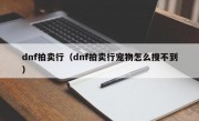 dnf拍卖行（dnf拍卖行宠物怎么搜不到）